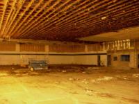 550_WElm_Ceiling_005.jpg